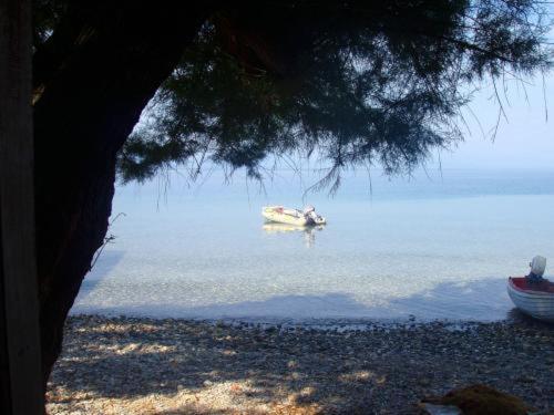 Kalama Apartments Kálamos Dış mekan fotoğraf