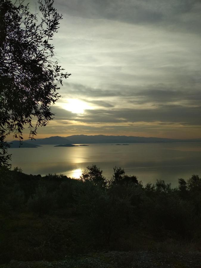 Kalama Apartments Kálamos Dış mekan fotoğraf