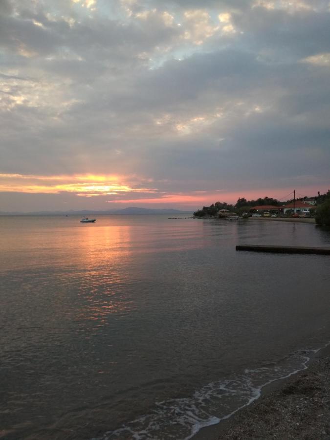 Kalama Apartments Kálamos Dış mekan fotoğraf