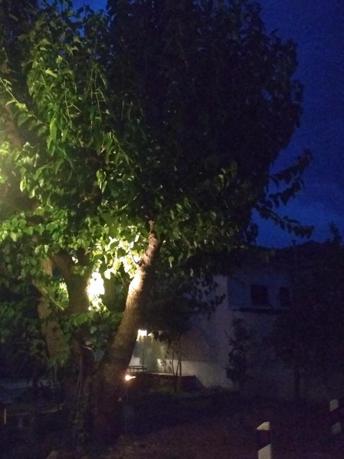 Kalama Apartments Kálamos Dış mekan fotoğraf