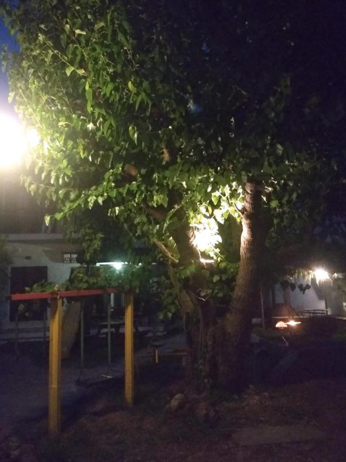 Kalama Apartments Kálamos Dış mekan fotoğraf